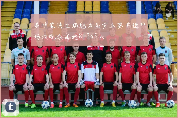 多特蒙德主场魅力无穷本赛季德甲场均观众高达81365人